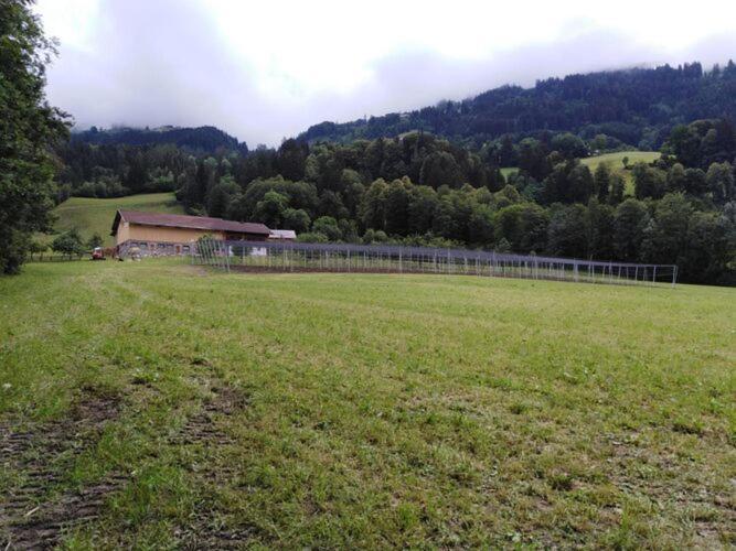 Holiday On An Organic Farm In Харт-им-Циллерталь Экстерьер фото
